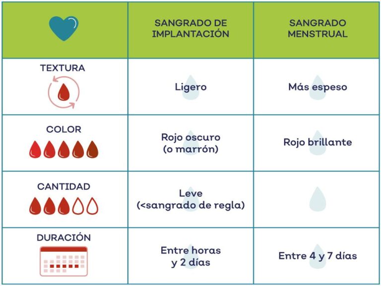 Cu Nto Dura El Sangrado Despu S De Un Aborto Quir Rgico Conoce Todo Lo