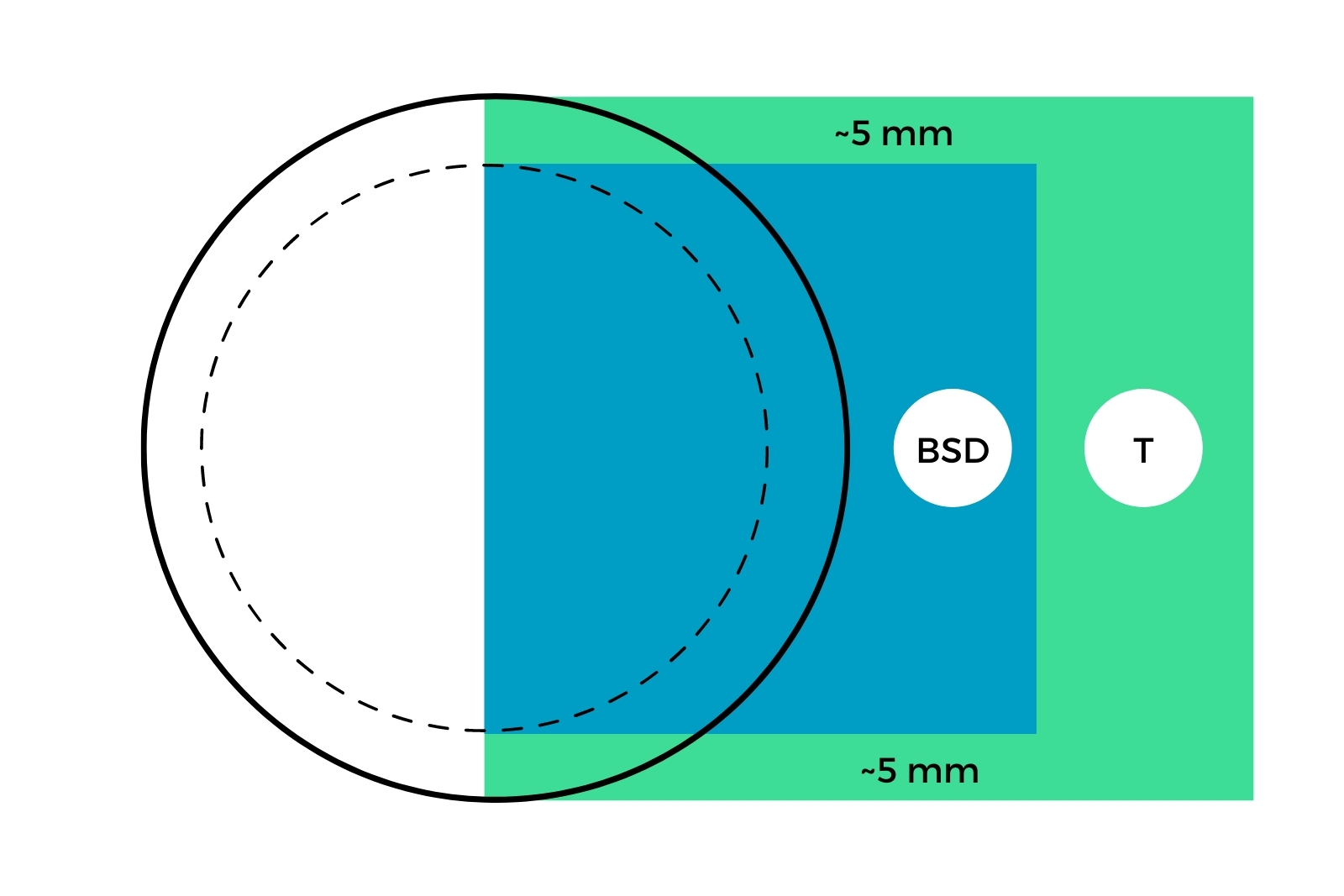 Cómo medir un rín de carro para una compra precisa: guía paso a paso ...