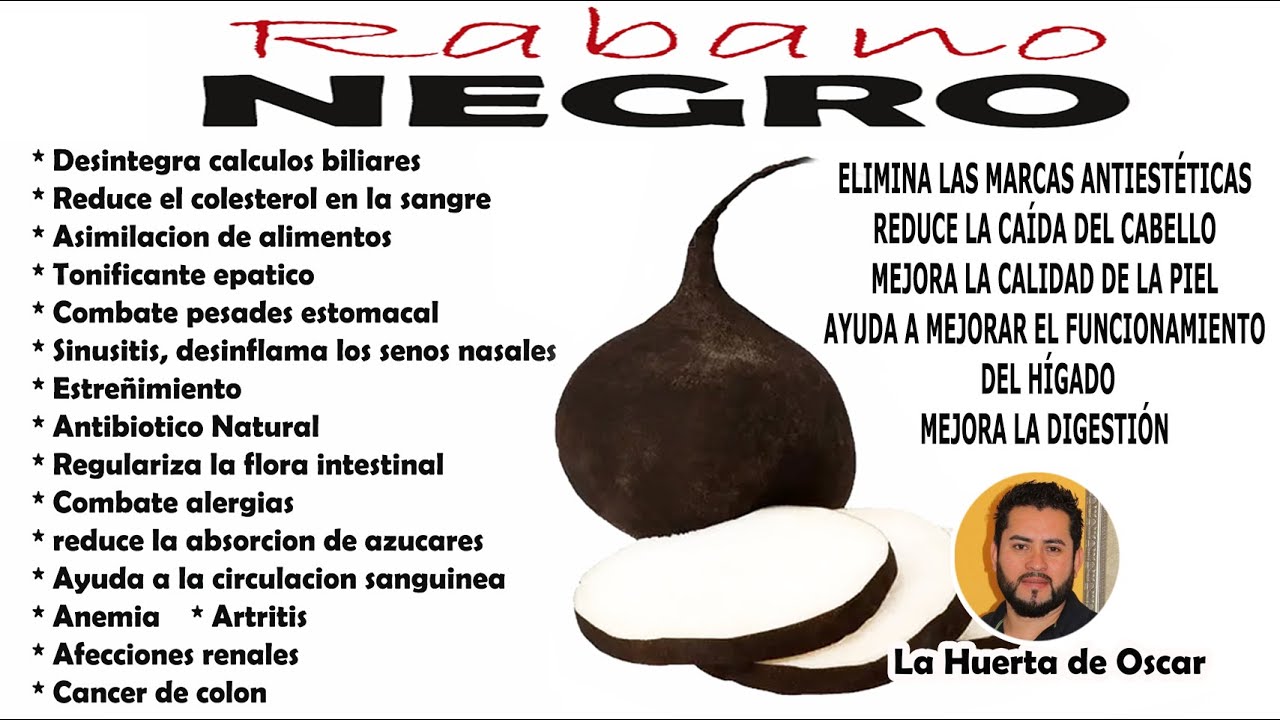Rábano Negro para los Riñones Descubre los Increíbles Beneficios y